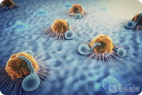 细胞免疫治疗行业前景如何？肿瘤免疫治疗的前景展望