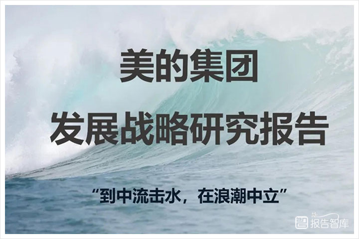 科技行业：2024年美的集团发展战略分析报告