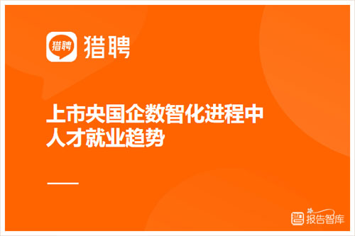 猎聘大数据：2024上市央国企数智化进程中人才就业趋势报告