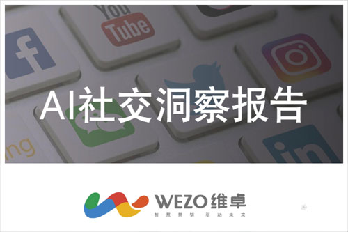 维卓：2024年AI社交市场规模与用户增长，AI社交洞察报告