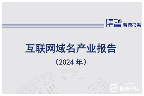 安永研究院：2024互联网域名产业发展现状，互联网域名产业报告