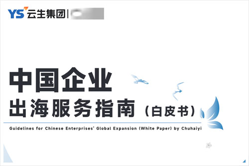 云生集团：2024中国企业出海服务指南，中国企业出海趋势与挑战