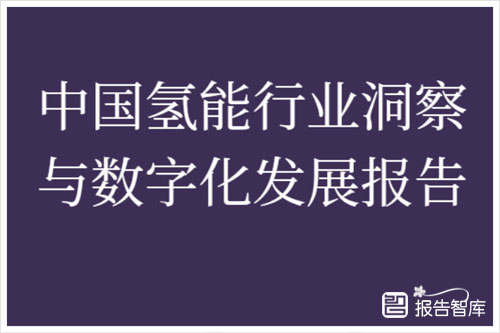 剑维软件：2024中国氢能行业发展现状分析，氢能数字化发展报告