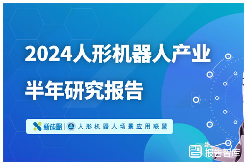 2024人形机器人产业的崛起与未来展望，人形机器人研究报告（42页）