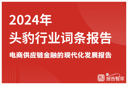 头豹研究院：2024年电商供应链金融的现代化发展与价值创新报告（20页）