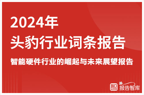 头豹研究院：2024引领科技革新，智能硬件行业的崛起与未来展望报告（23页）