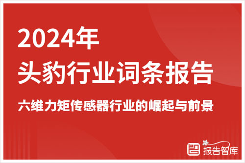 头豹研究院：2024六维力矩传感器市场规模，行业的崛起与前景分析（19页）