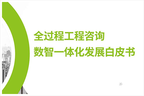 2024全过程工程咨询的数字化转型报告，数字化全咨服务的发展现状（38页）