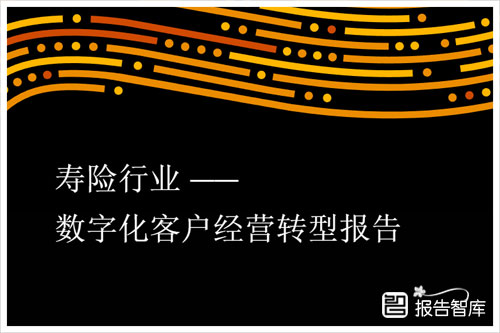 普华永道：2024寿险行业数字化转型方向，寿险行业数字化转型方案（38页）