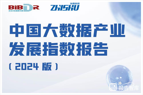 北京大数据研究院：2024大数据产业发展现状及趋势分析报告（43页）