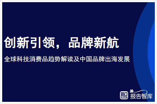 尼尔森数据：2024全球科技消费品有哪些？科技消费品趋势解读（14页）