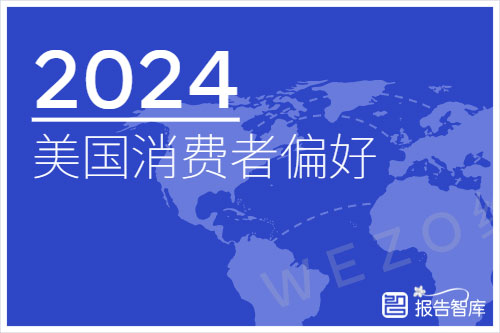 维卓科技：2024美国消费者购买行为分析，消费者购物渠道偏好（34页）