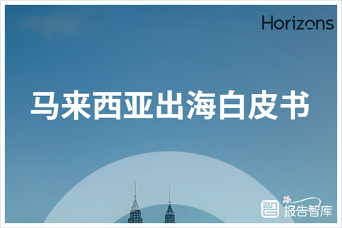 Horizons：2024出海马来西亚的基本要求是什么？需要什么手续（18页）