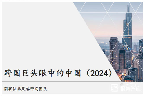 国联证券：2024跨国公司在中国的经营状况如何？会面临哪些风险（33页）