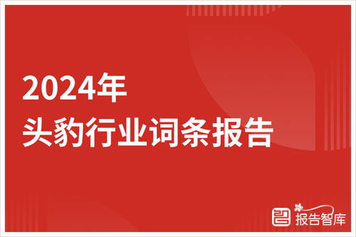 头豹研究院：2024医疗模型市场前景分析报告，智能诊疗产业链（29页）