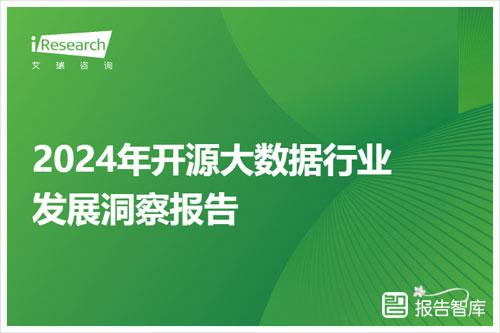 2024年开源大数据行业怎么样？开源大数据行业热点洞察报告（29页）