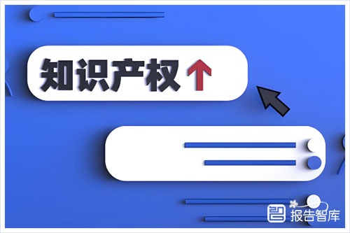 2024年知识产权强国建设的意义和作用，知识产权强国建设发展报告（79页）