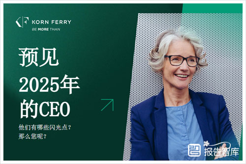 未来的ceo需要具备什么能力？企业领导者所需的品质和能力分析（19页）